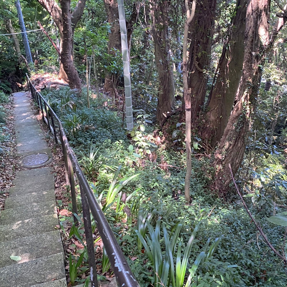 bushcraft campsite taura yokosuka kanagawa japan