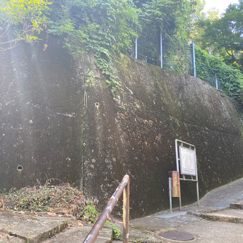 bushcraft campsite taura yokosuka kanagawa japan