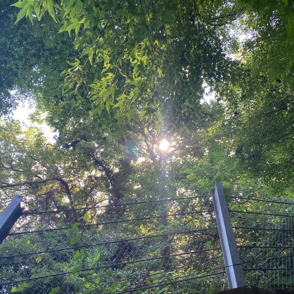 bushcraft campsite taura yokosuka kanagawa japan