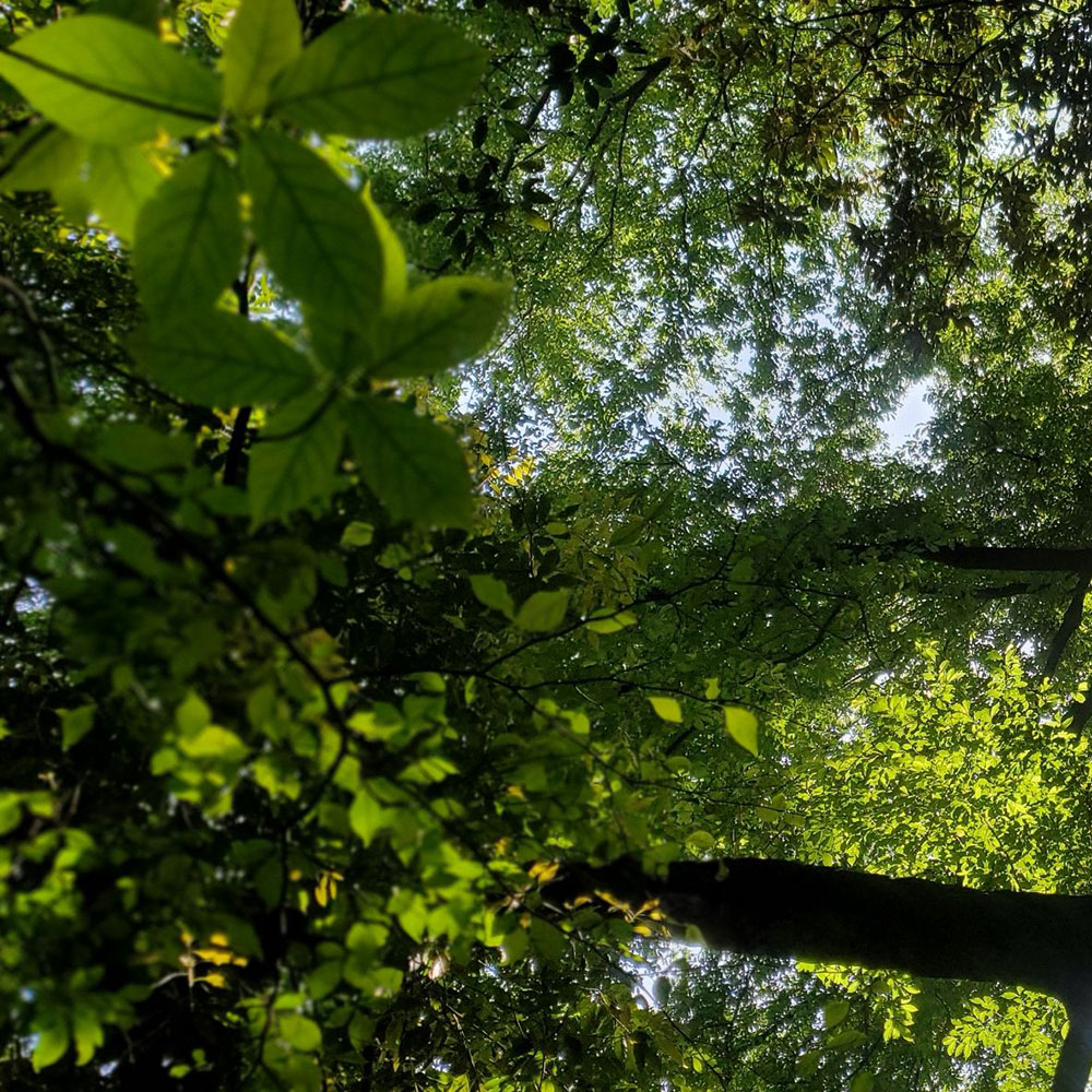 bushcraft campsite taura yokosuka kanagawa japan