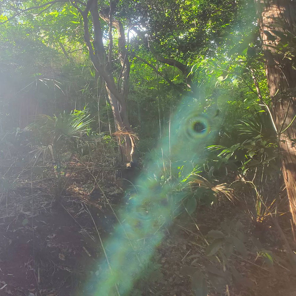 bushcraft campsite maioka totsuka yokohama  kanagawa japan