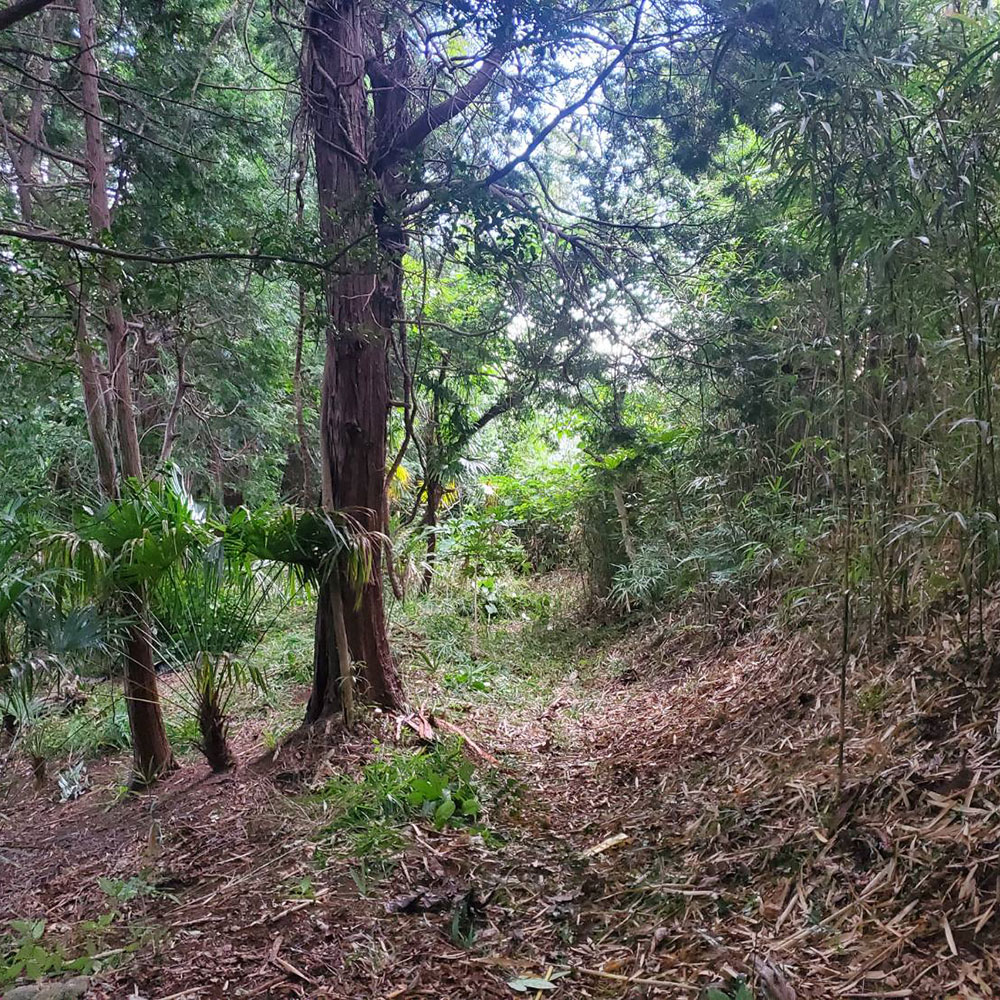 bushcraft campsite maioka totsuka yokohama  kanagawa japan