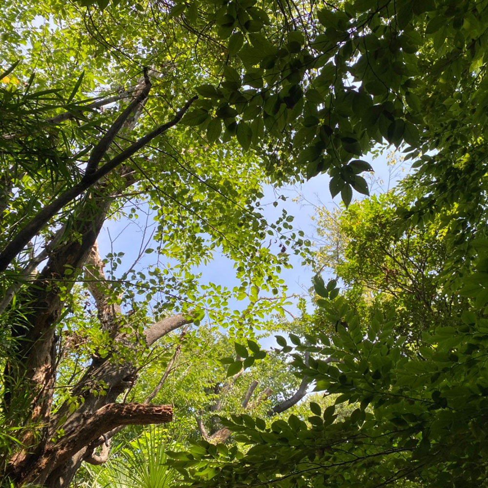 bushcraft campsite maioka totsuka yokohama  kanagawa japan