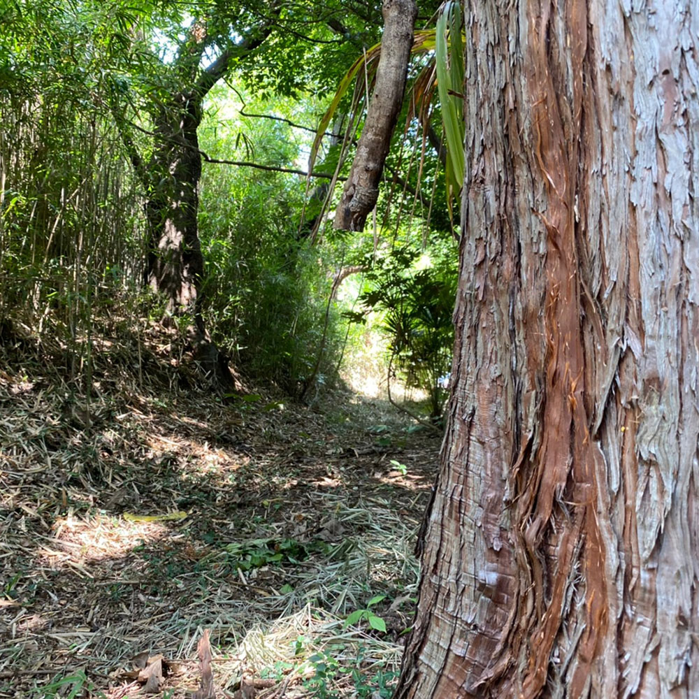 bushcraft campsite maioka totsuka yokohama  kanagawa japan
