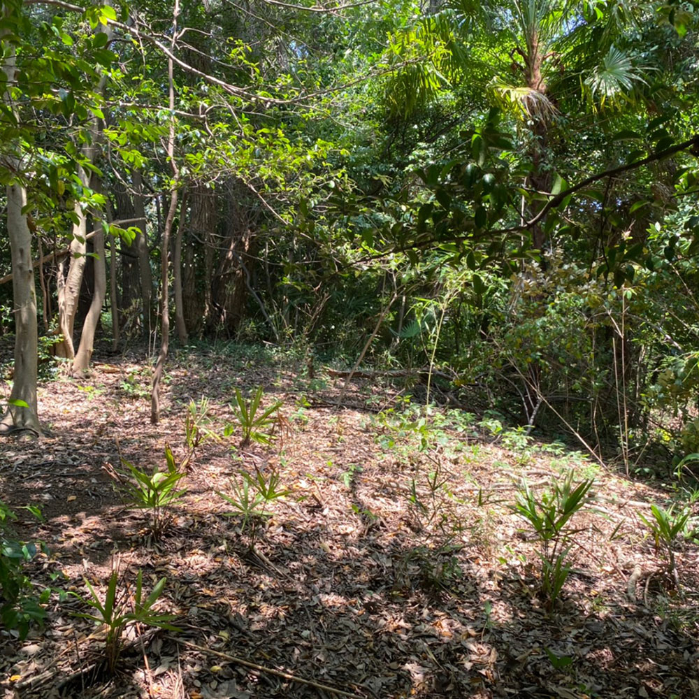 bushcraft campsite maioka totsuka yokohama  kanagawa japan