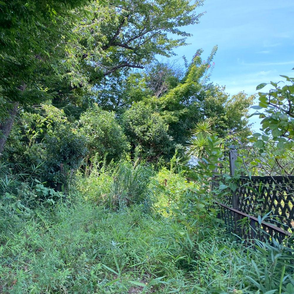 bushcraft campsite maioka totsuka yokohama  kanagawa japan