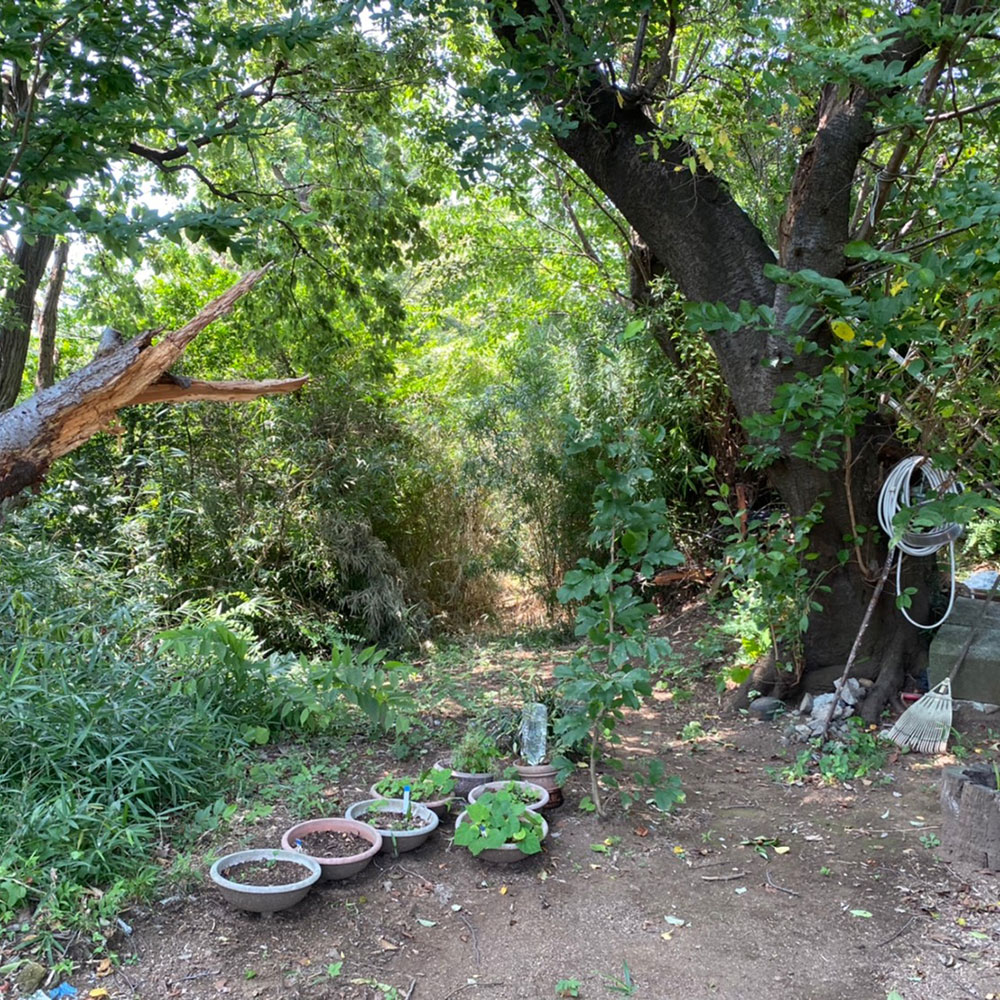 bushcraft campsite maioka totsuka yokohama  kanagawa japan