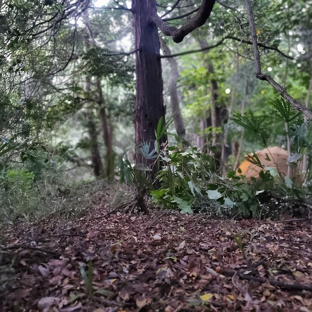 bushcraft campsite maioka totsuka yokohama  kanagawa japan