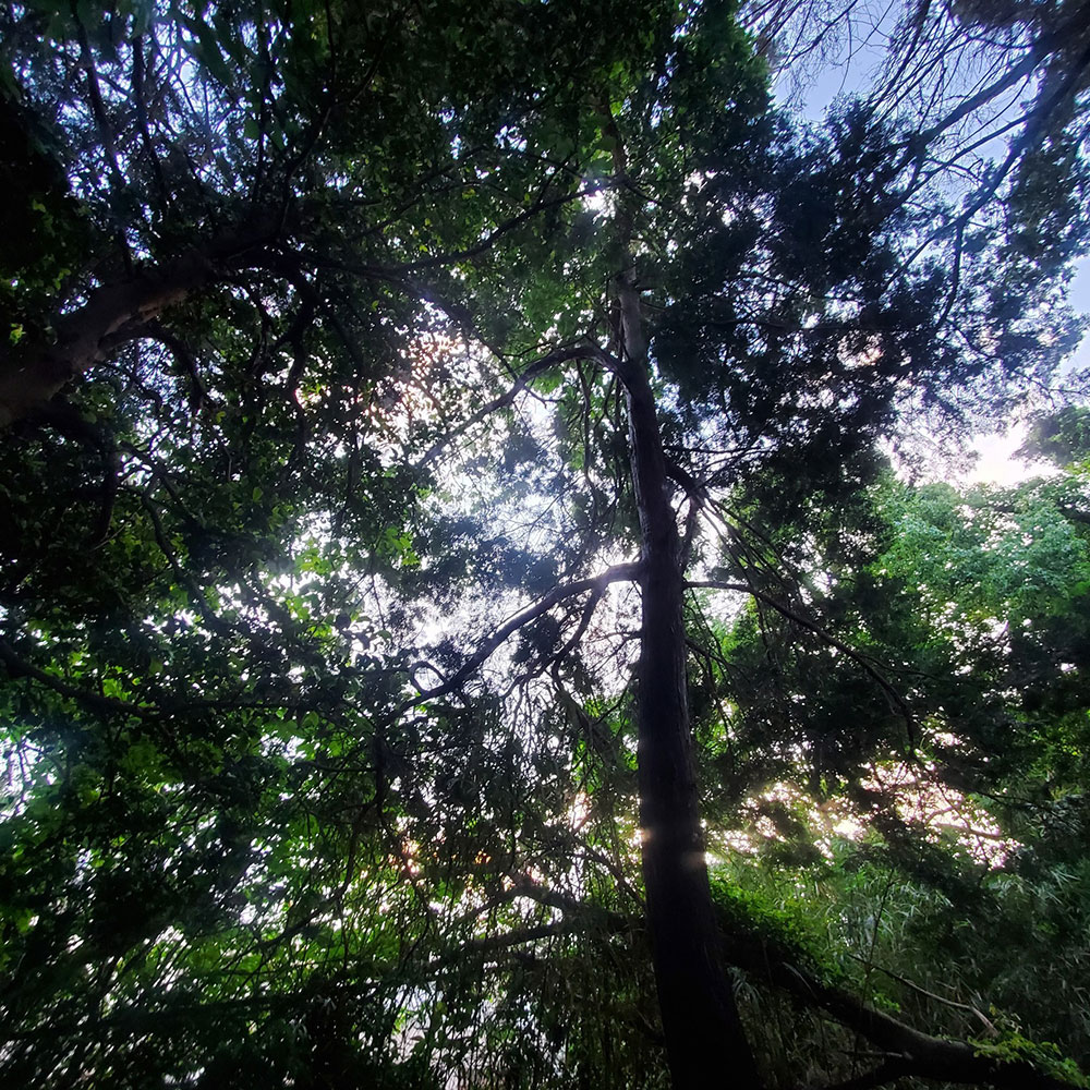 bushcraft campsite maioka totsuka yokohama  kanagawa japan