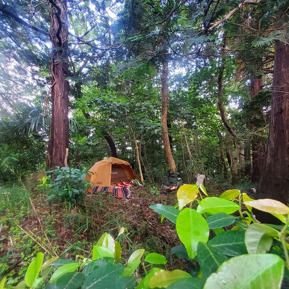 bushcraft campsite maioka totsuka yokohama  kanagawa japan