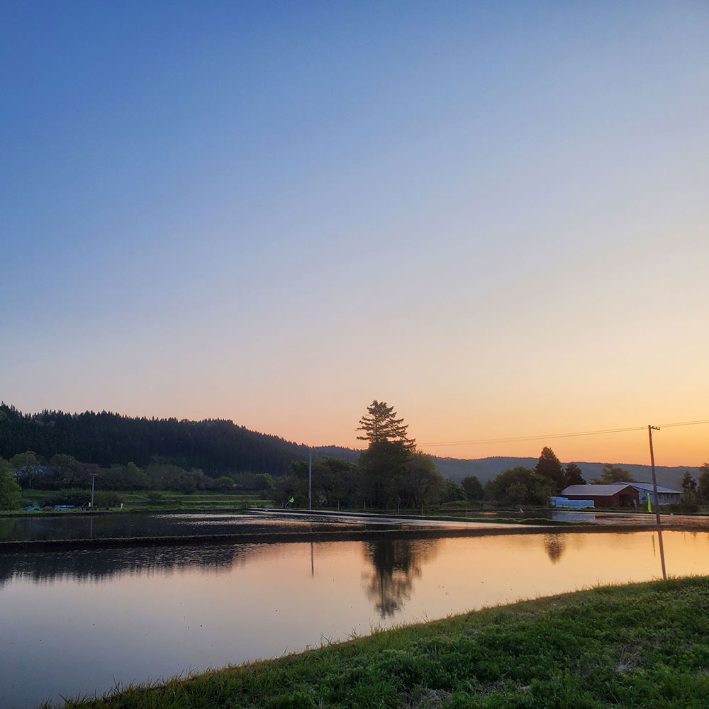 bushcraft campsite towada aomori japan