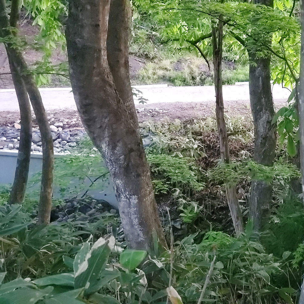 bushcraft campsite towada aomori japan