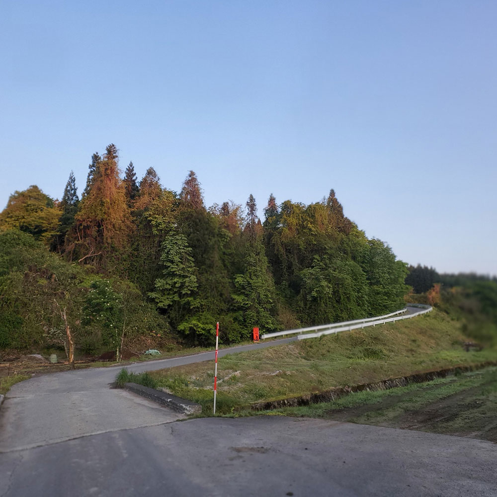 bushcraft campsite towada aomori japan