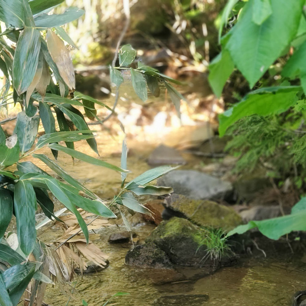 bushcraft campsite towada aomori japan