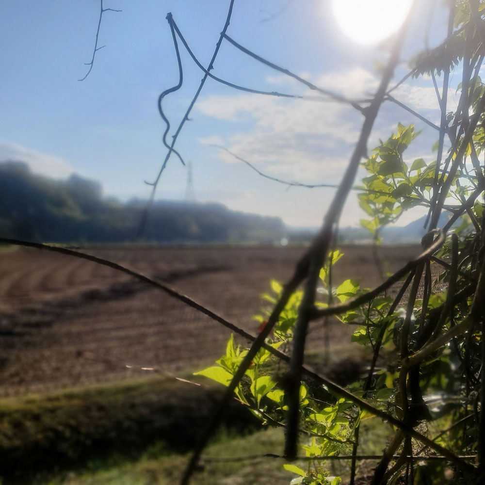bushcraft campsite towada aomori japan