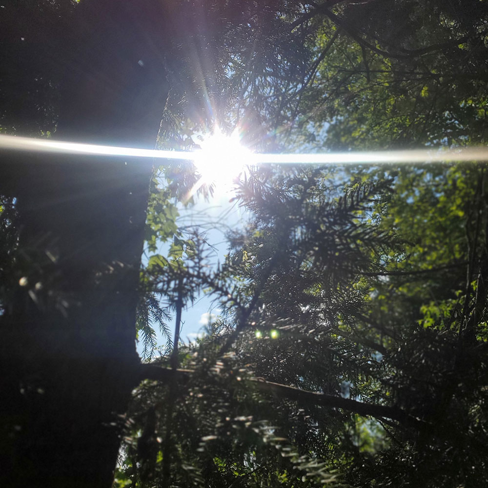 bushcraft campsite towada aomori japan