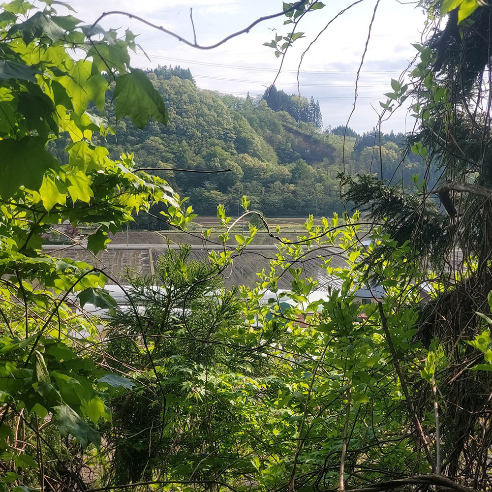 bushcraft campsite towada aomori japan