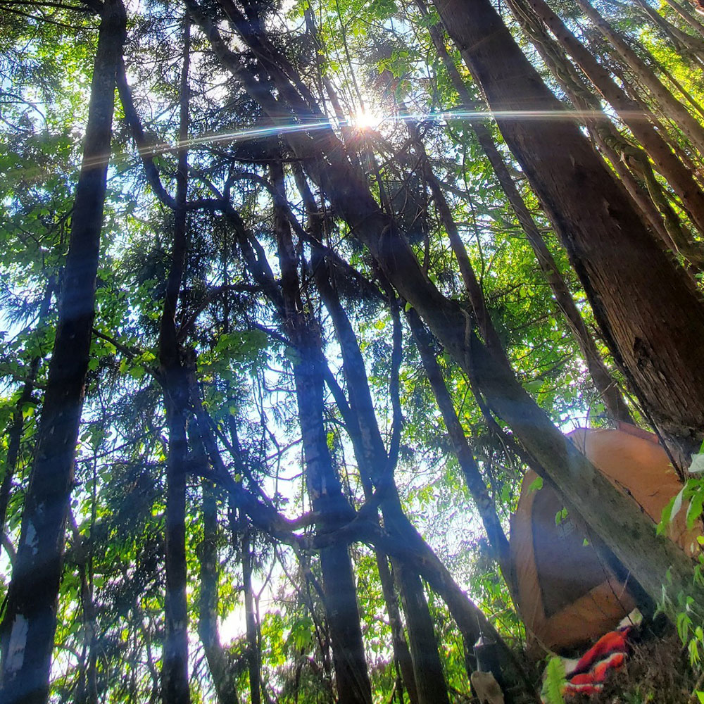 bushcraft campsite towada aomori japan