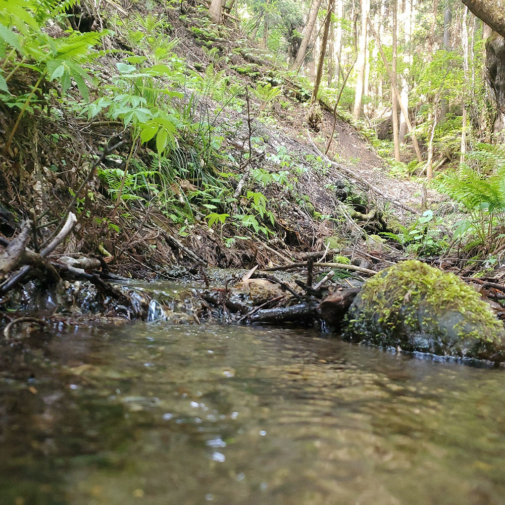bushcraft campsite towada aomori japan