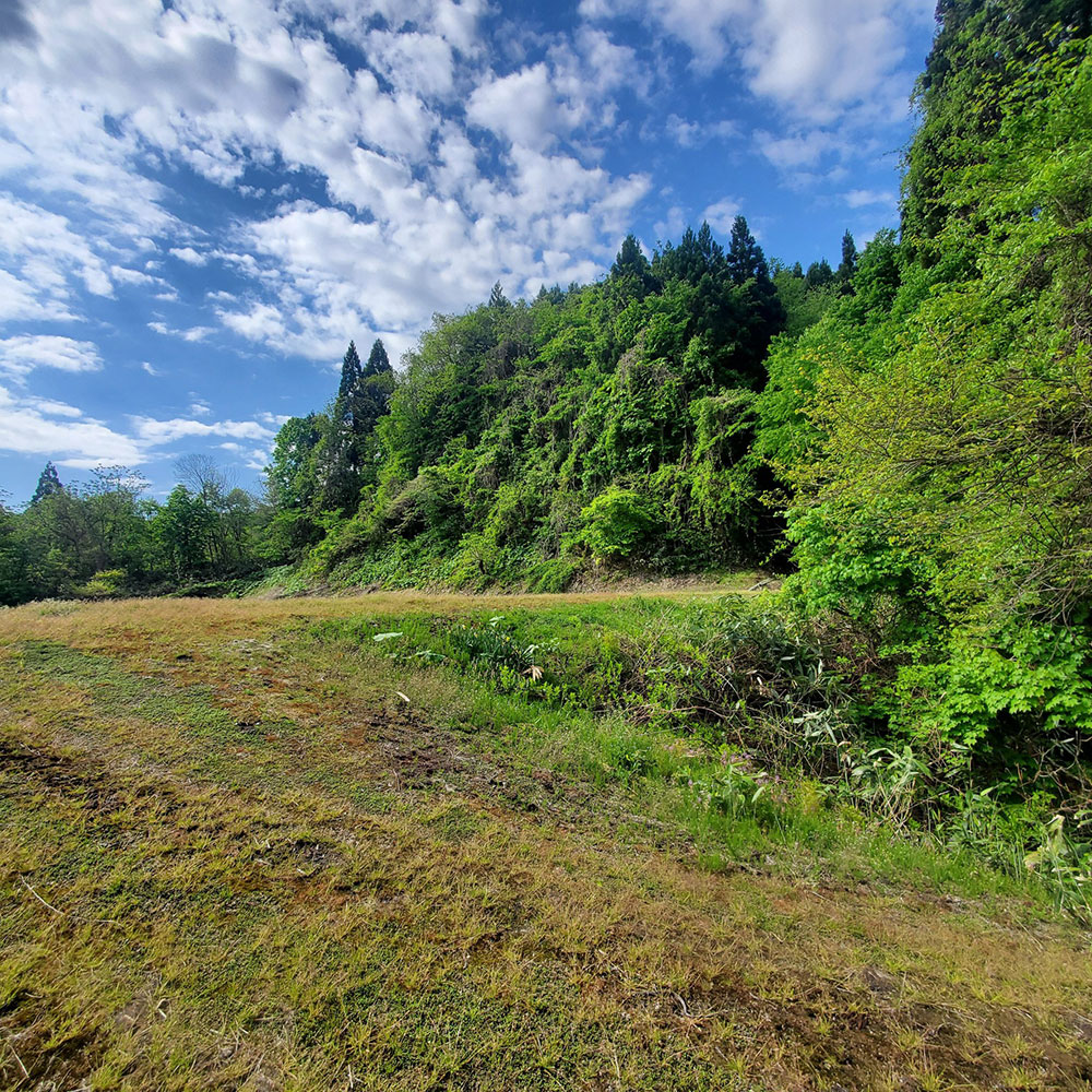 bushcraft campsite towada aomori japan