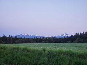 青森県十和田市奥瀬冷水ブッシュクラフトキャンプ場