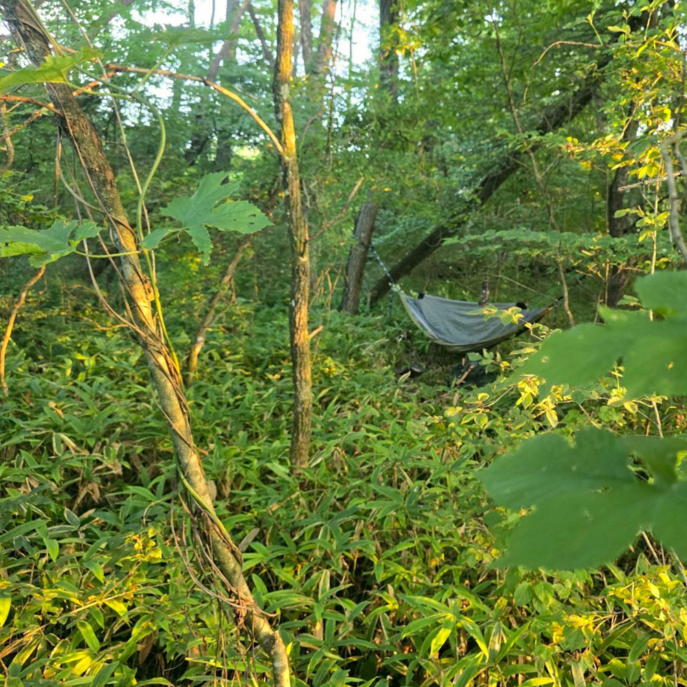 bushcraft campsite tsumagoi nagano japan
