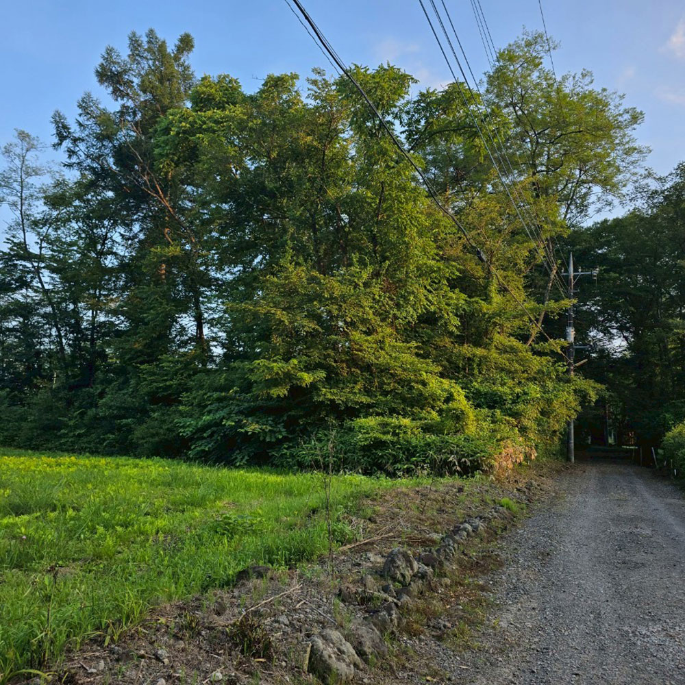 bushcraft campsite tsumagoi nagano japan