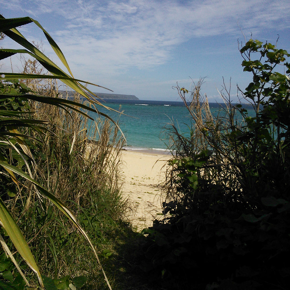 bushcraft campsite uppama beach gesashi higashison  okinawa japan