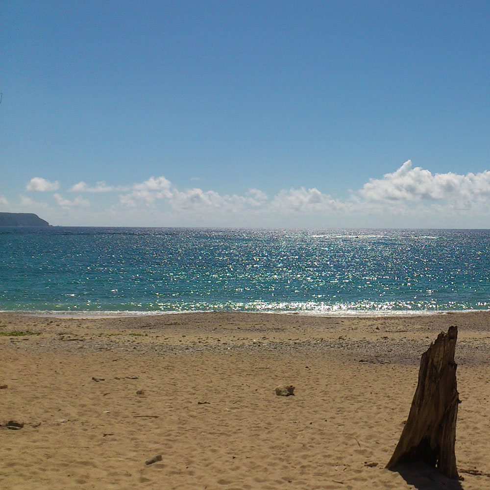 bushcraft campsite uppama beach gesashi higashison  okinawa japan