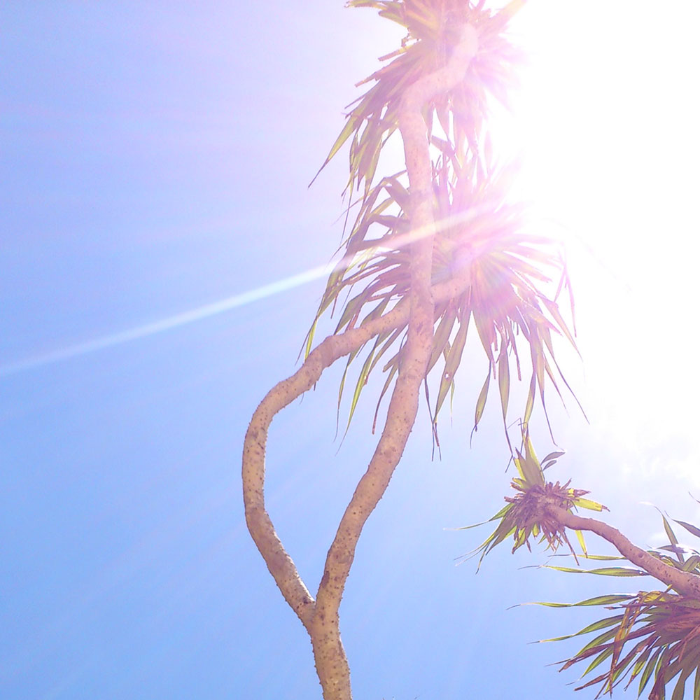 bushcraft campsite uppama beach gesashi higashison  okinawa japan