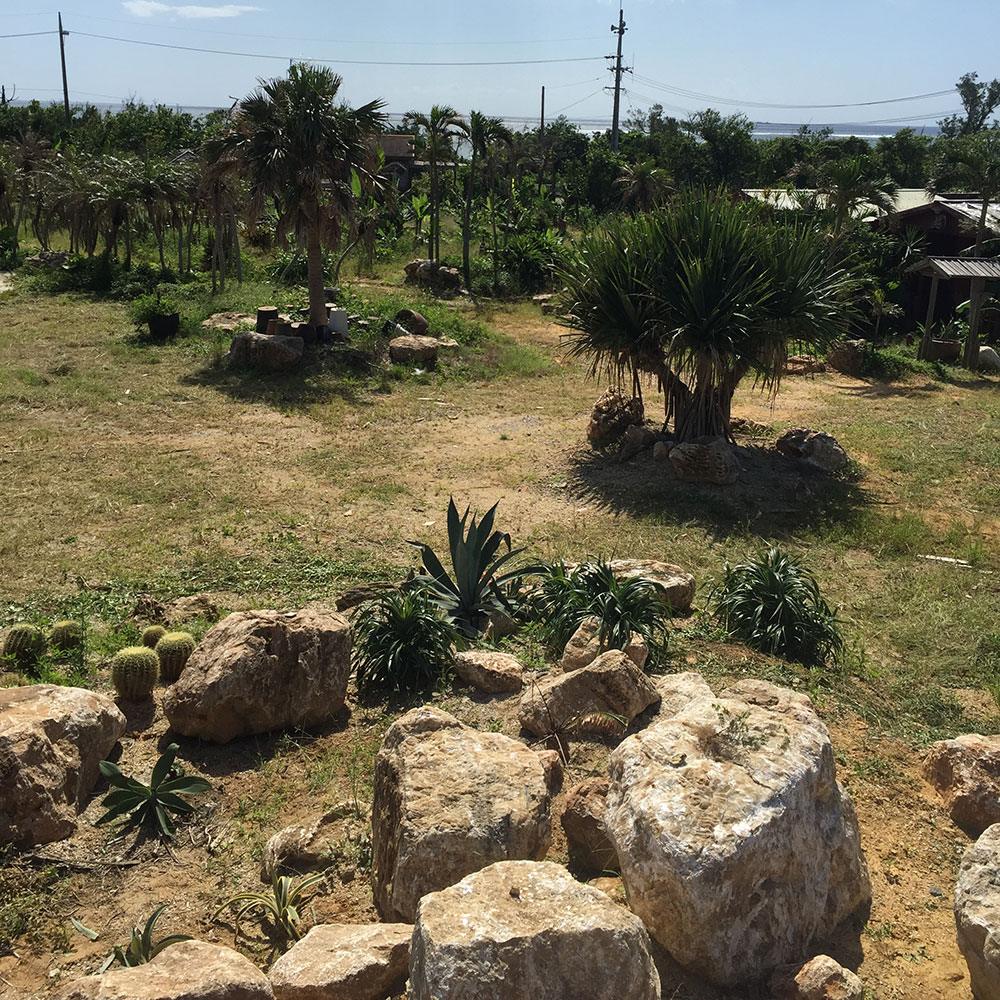 bushcraft campsite uppama beach gesashi higashison  okinawa japan