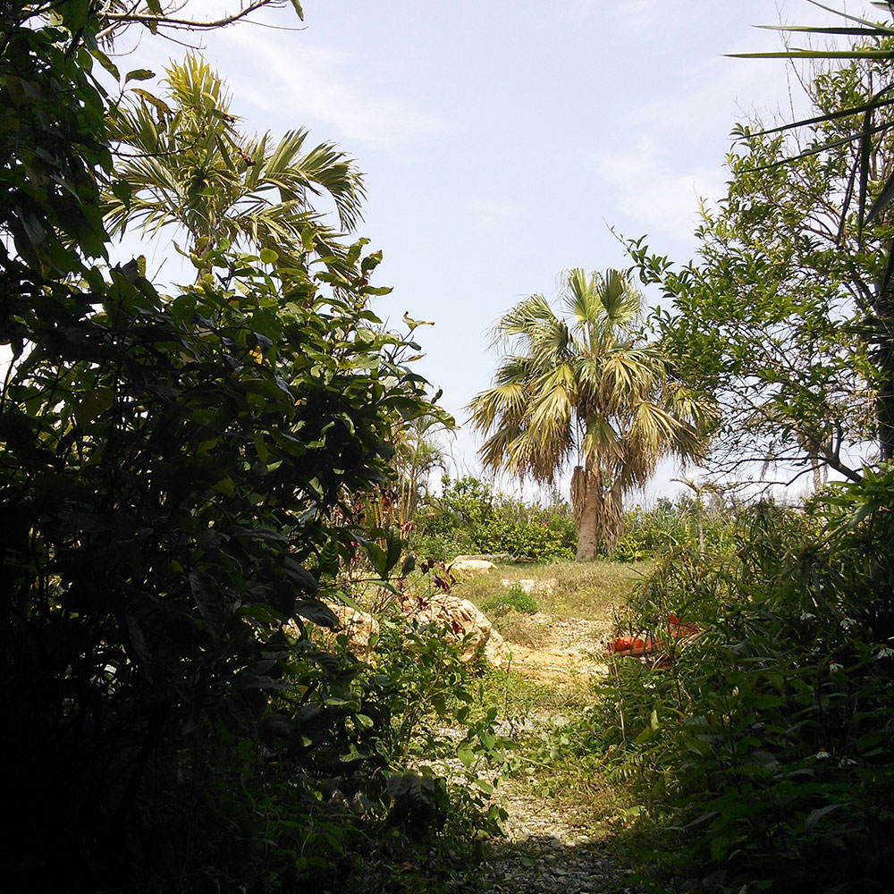 bushcraft campsite uppama beach gesashi higashison  okinawa japan