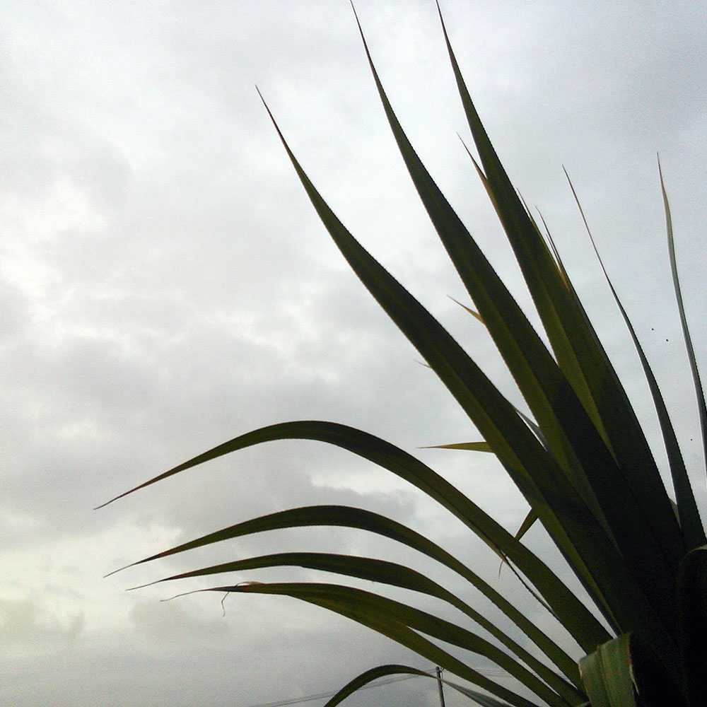 bushcraft campsite uppama beach gesashi higashison  okinawa japan