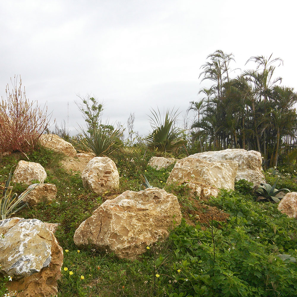 bushcraft campsite uppama beach gesashi higashison  okinawa japan