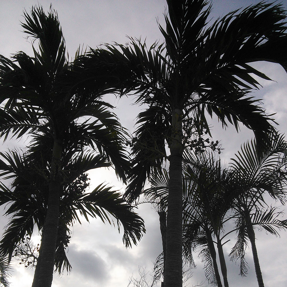 bushcraft campsite uppama beach gesashi higashison  okinawa japan