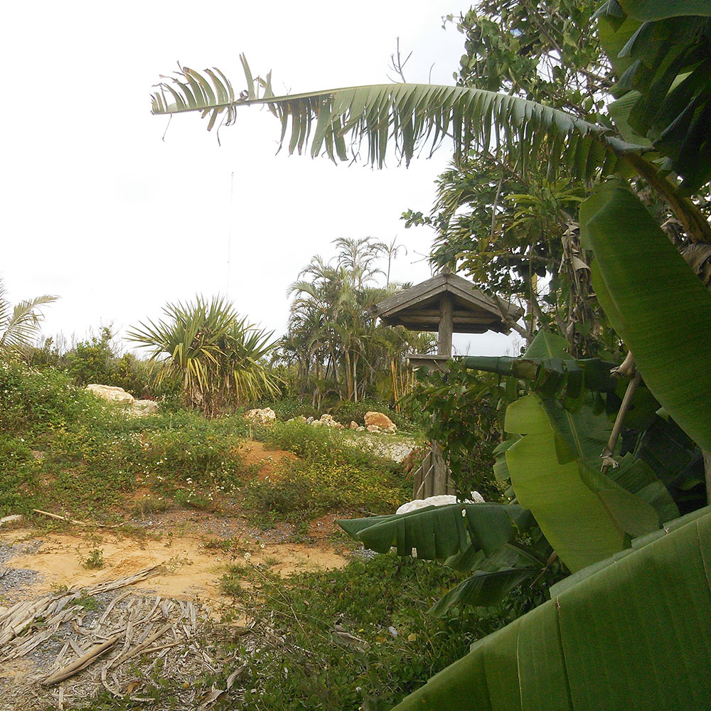 bushcraft campsite uppama beach gesashi higashison  okinawa japan