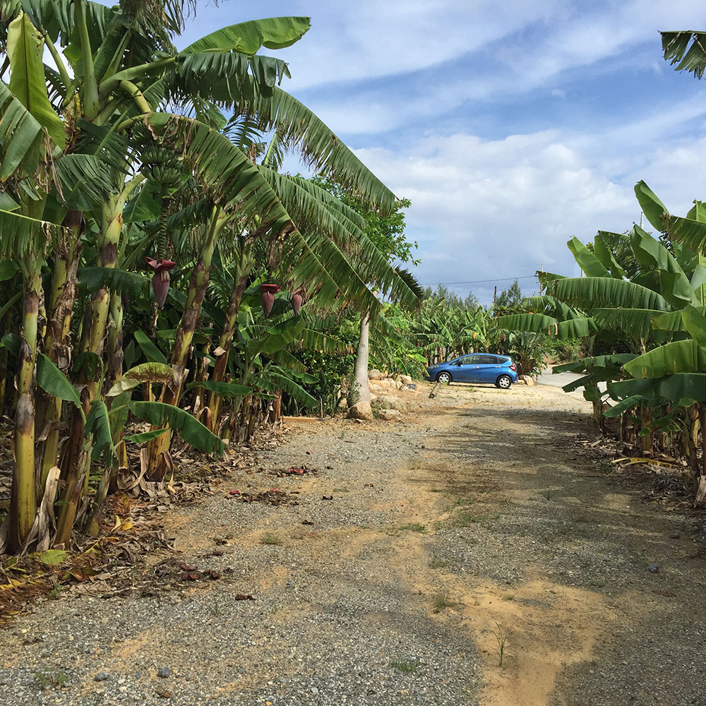 bushcraft campsite uppama beach gesashi higashison  okinawa japan