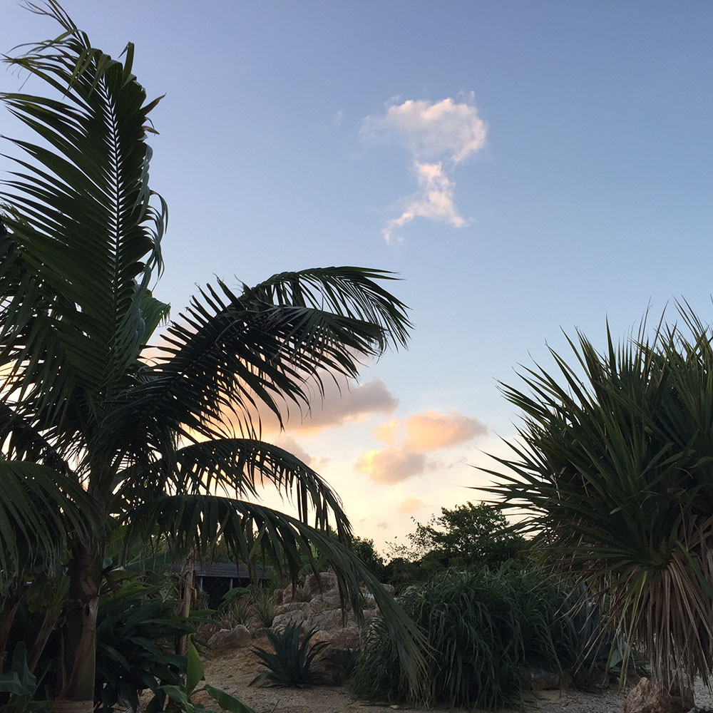 bushcraft campsite uppama beach gesashi higashison  okinawa japan