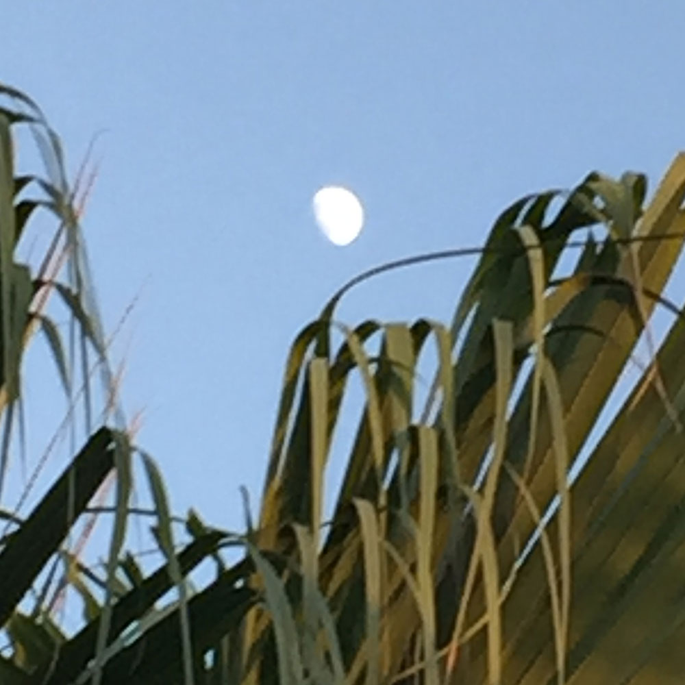 bushcraft campsite uppama beach gesashi higashison  okinawa japan