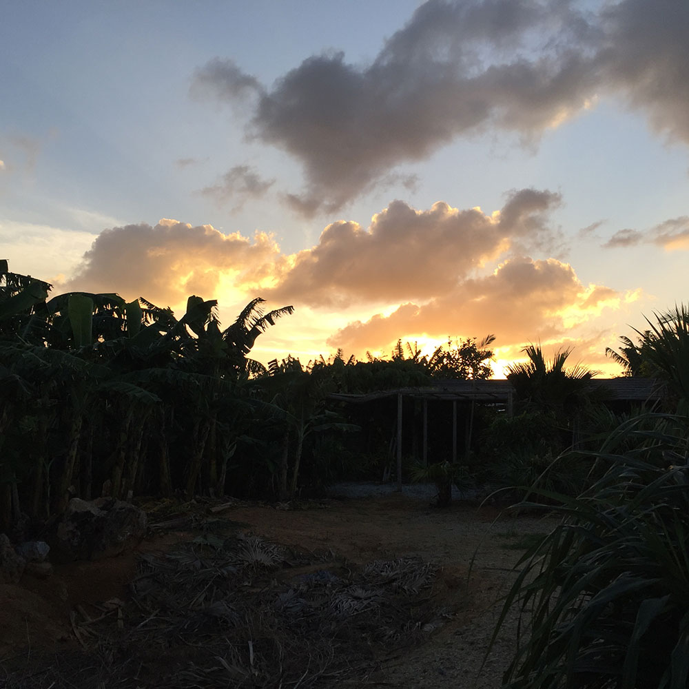 bushcraft campsite uppama beach gesashi higashison  okinawa japan
