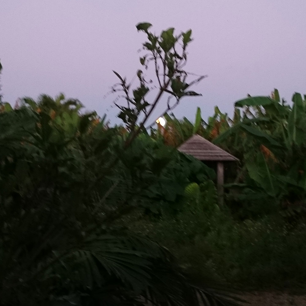 bushcraft campsite uppama beach gesashi higashison  okinawa japan
