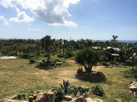 沖縄県国頭郡東村慶佐次ブッシュクラフトキャンプ場