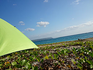 沖縄県国頭郡東村慶佐次ブッシュクラフトキャンプ場