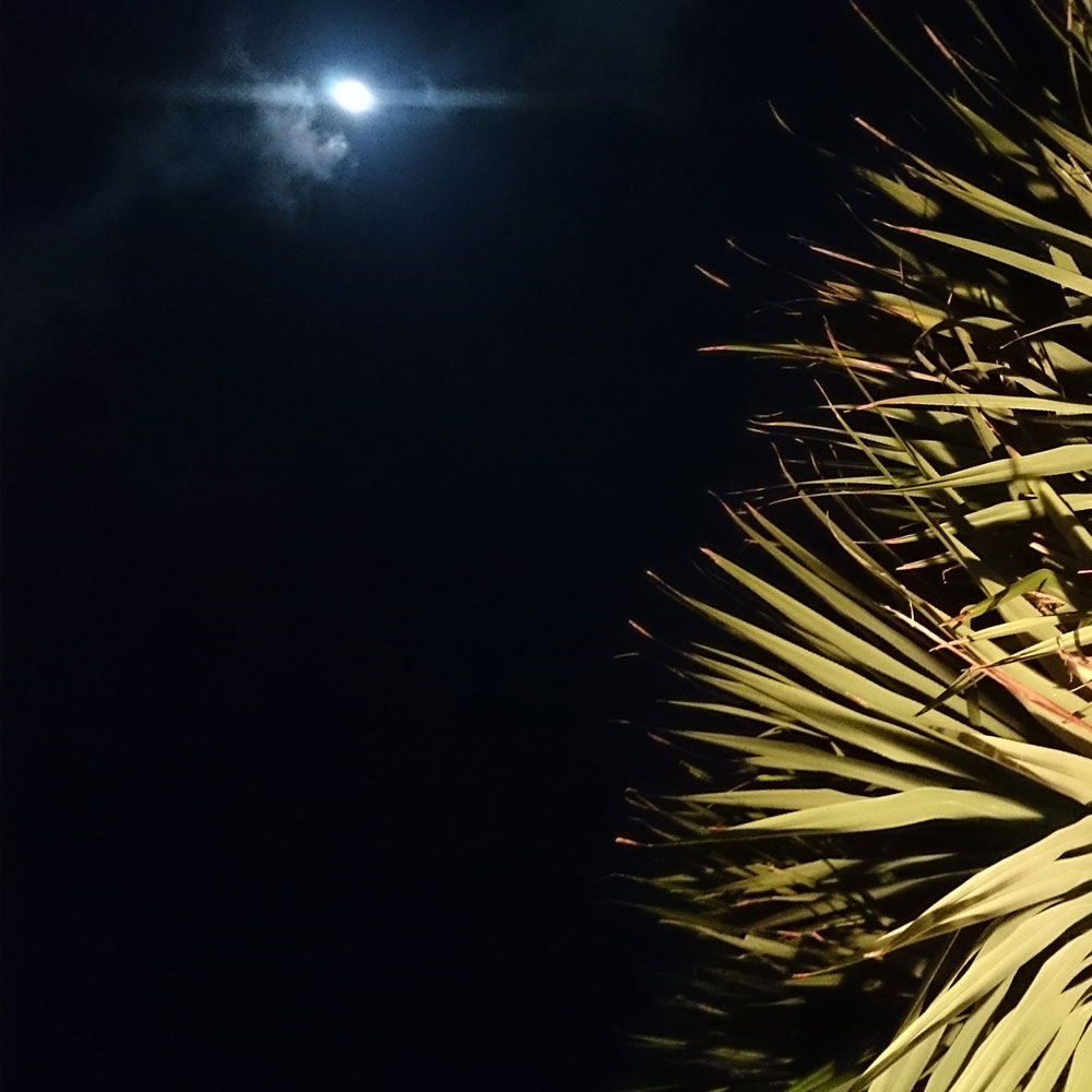 bushcraft campsite uppama beach gesashi higashison  okinawa japan