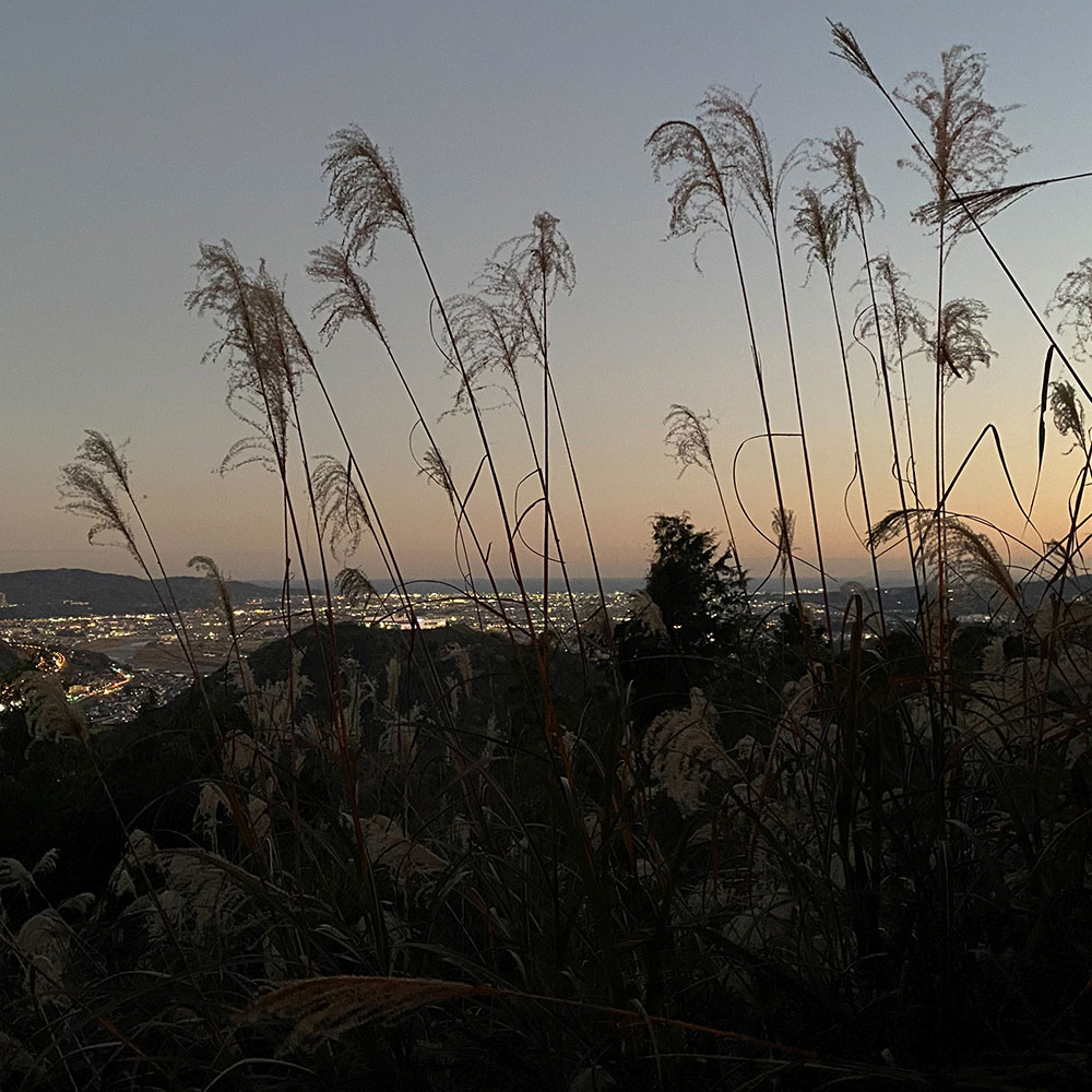 bushcraft campsite ashigara yamakita  kanagawa japan
