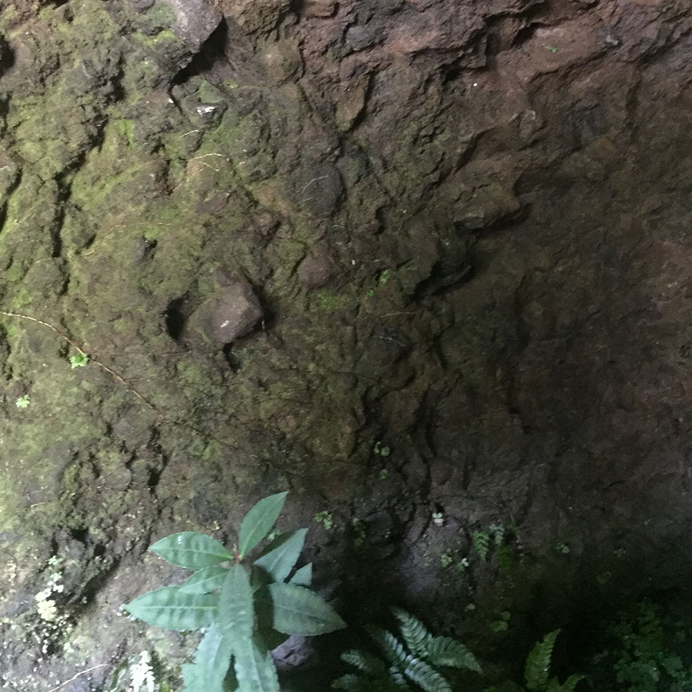 bushcraft campsite yoshihama yugawara kanagawa japan