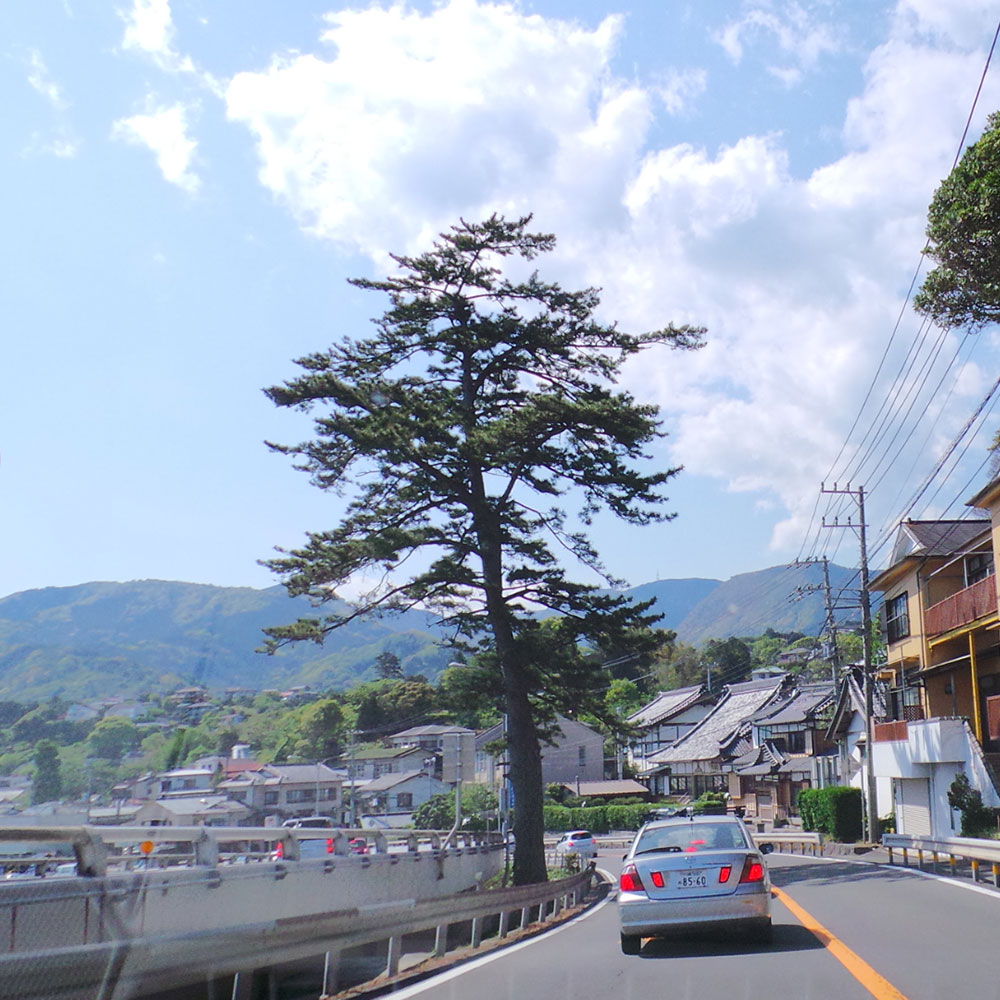 bushcraft campsite yoshihama yugawara kanagawa japan