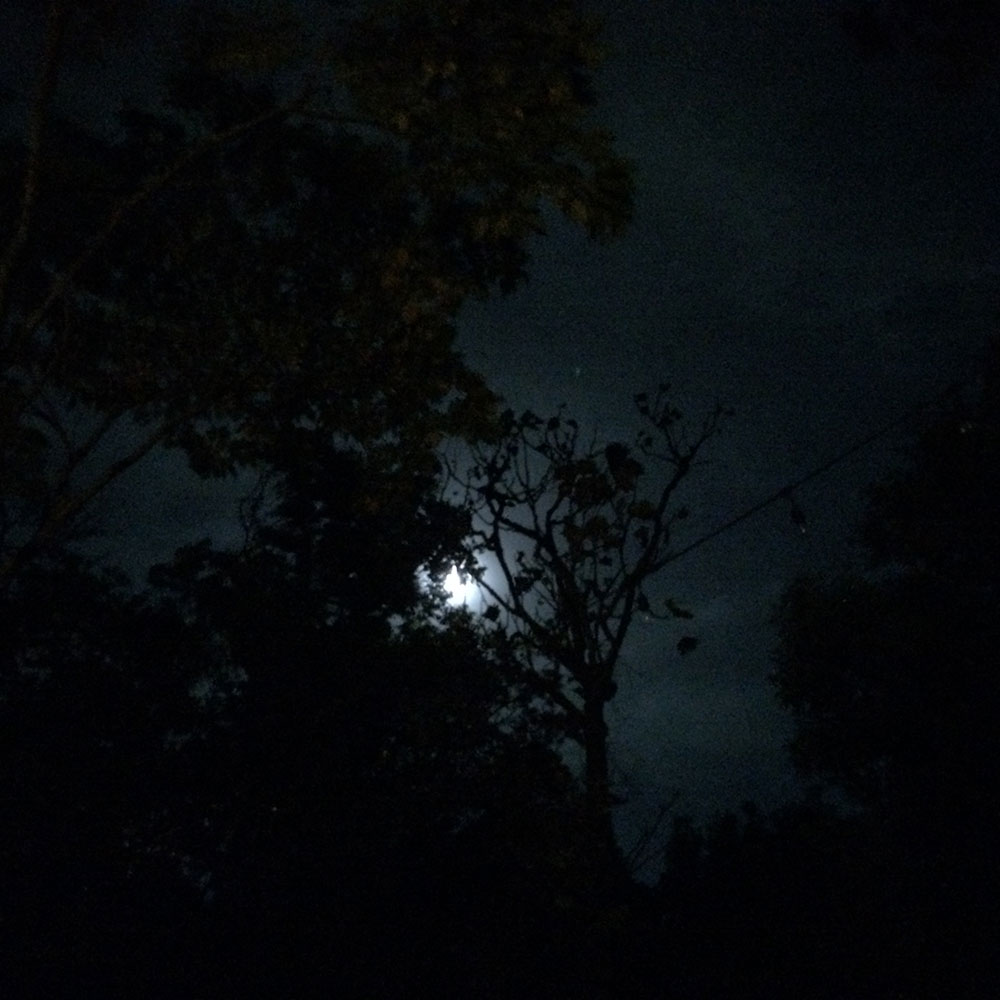 bushcraft campsite yoshihama yugawara kanagawa japan