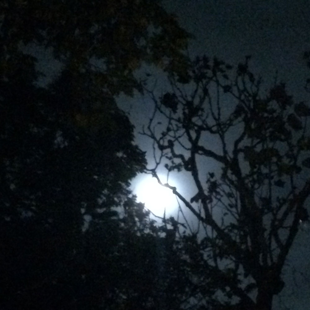 bushcraft campsite yoshihama yugawara kanagawa japan